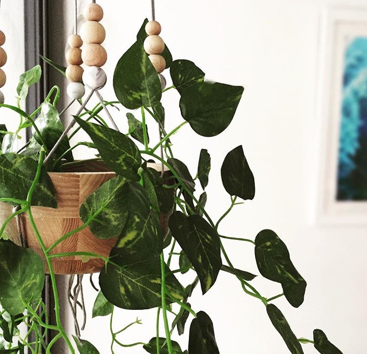 hanging planter with beads with money plant.jpg